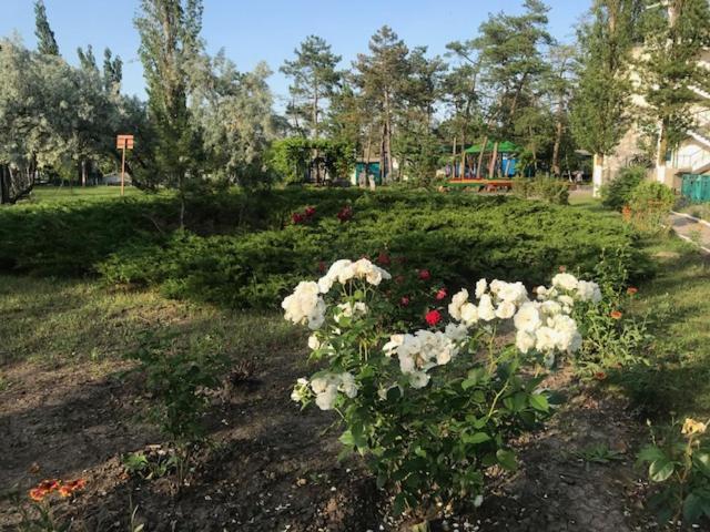 База Отдыха Наука Коблево โคเบลโว ภายนอก รูปภาพ